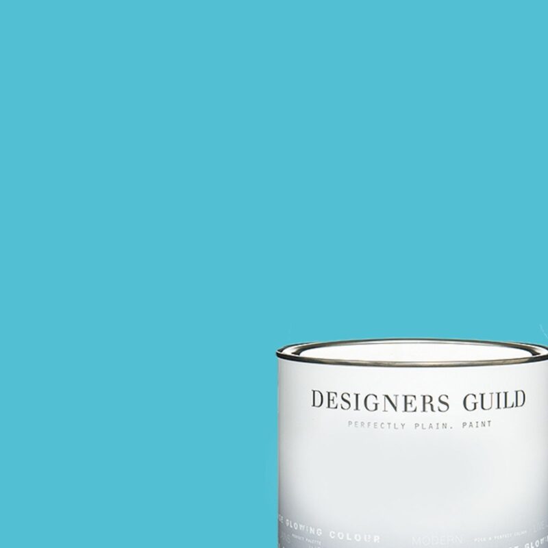 Indian Ocean - Designers Guild Paint