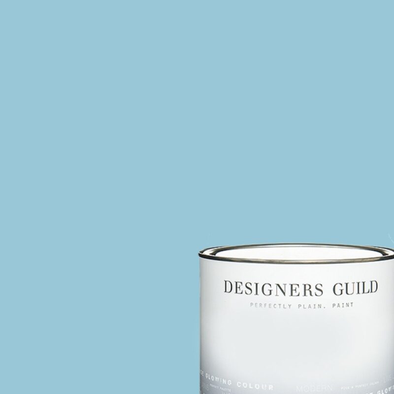 Jay's Feather - Designers Guild Paint