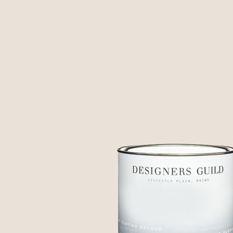 Silver Birch - Designers Guild Paint