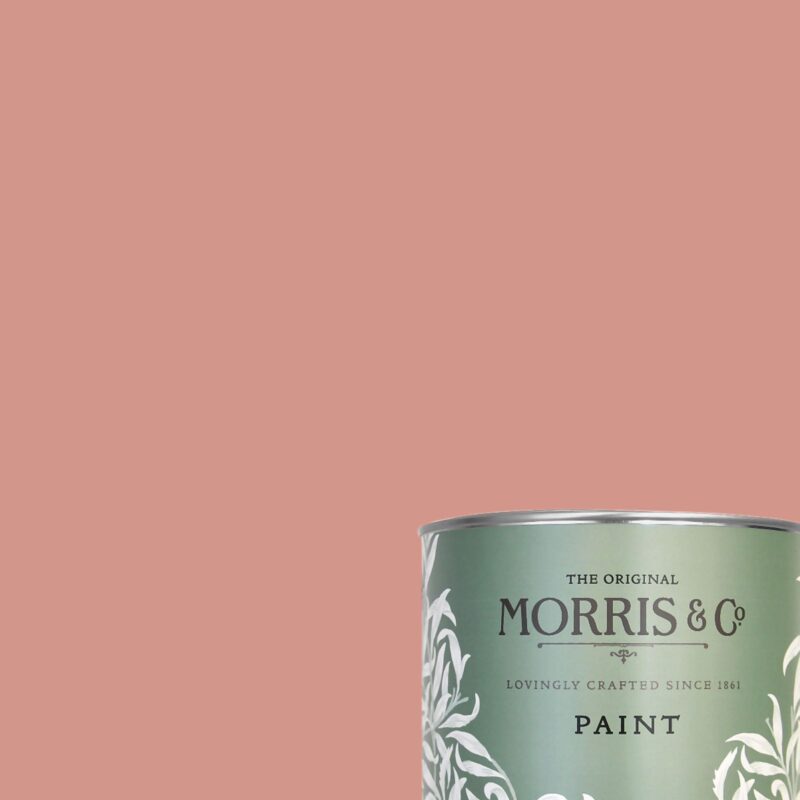 Chrysanthemum - Morris & Co. Paint