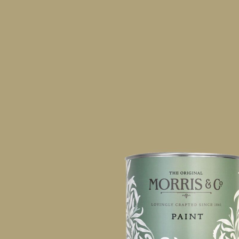 Citrus Stone - Morris & Co. Paint