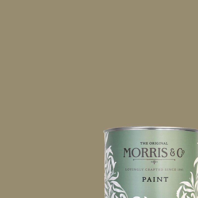 Olive Fruit - Morris & Co. Paint