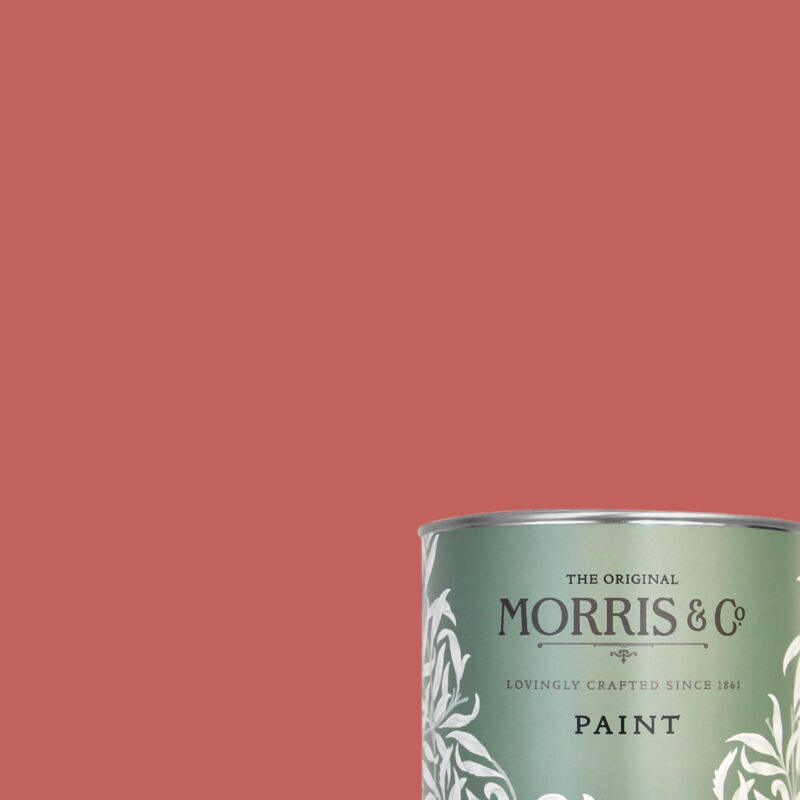 Strawberry Thief - Morris & Co. Paint