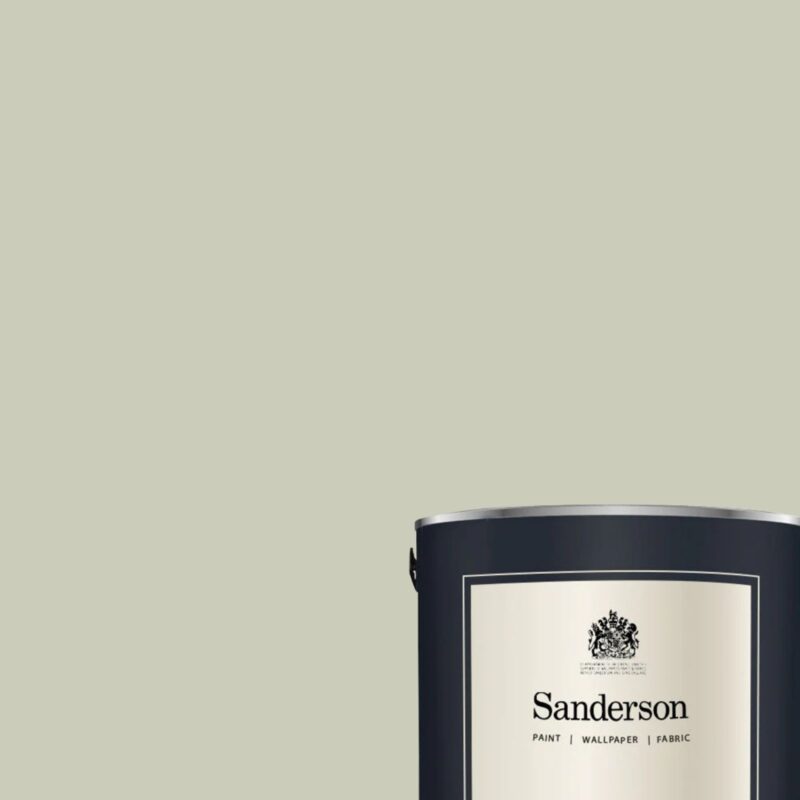 Driftwood Grey Light - Sanderson Paint