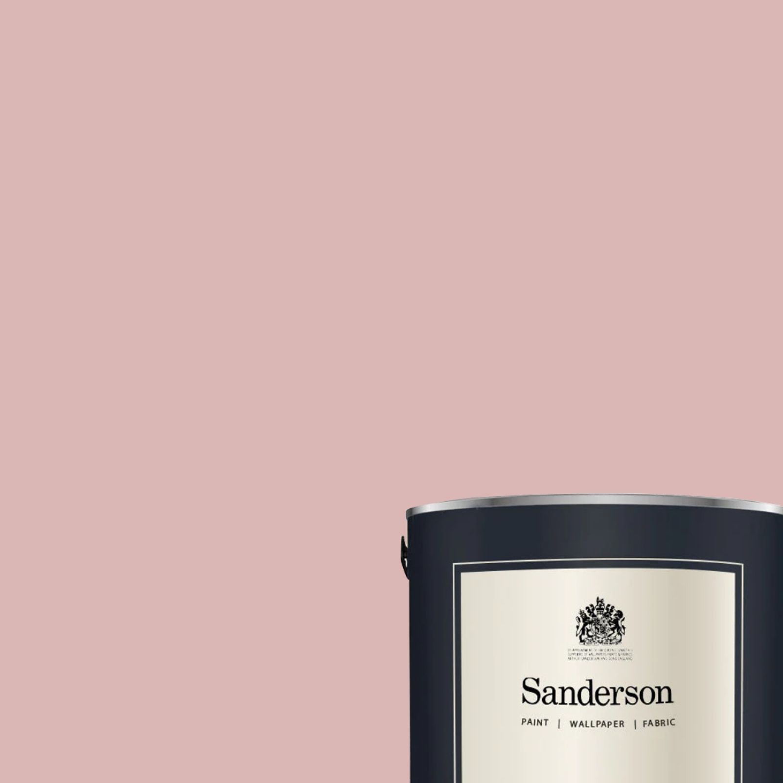 sa-frenchrose
