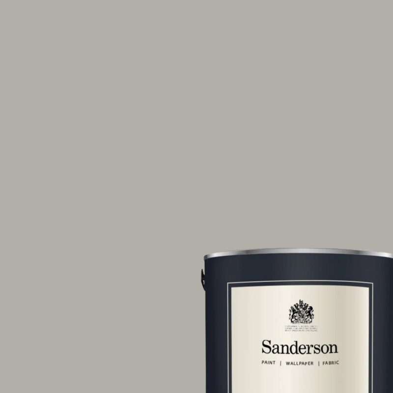 Grey Squirrel - Sanderson Paint