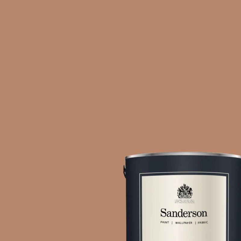 Squirrel - Sanderson Paint